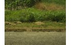 Property photo 28 - 160 Acres Offered in 6 Tracts